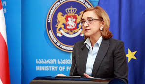 თამარ ბერუჩაშვილი აბაშიძე-კარასინის შეხვედრას ეხმიანება