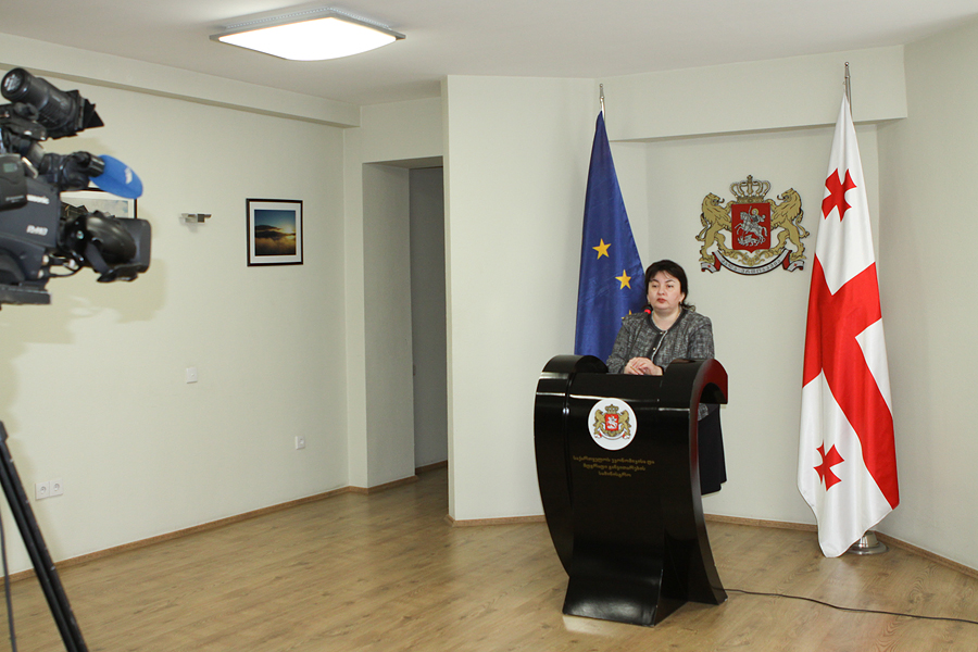 ირმა ქავთარაძემ ჟურნალისტებს ანაკლიის პორტის პროექტის მიმდინარეობის შესახებ ინფორმაცია გააცნო