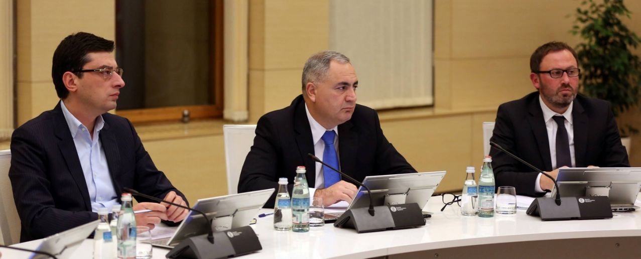 ეკონომიკური საბჭო მარტვილის რაიონში ხურმის ჩირის წარმოების პერსპექტივას ხედავს