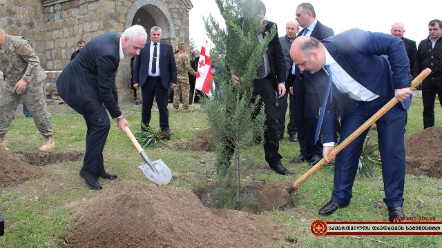 შინდისის ბრძოლის გმირების სახელზე ნერგები დაირგო