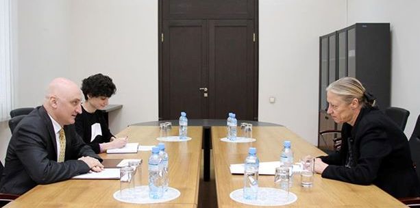 საგარეო უწყებაში იძულებით გადაადგილებულ პირთა უფლებებზე იმსჯელეს