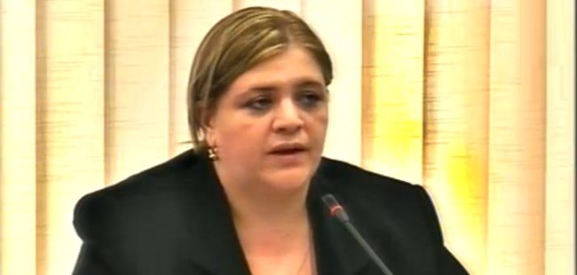 პარლამენტში უშიშროების საბჭოს მდივანს მოუსმინეს