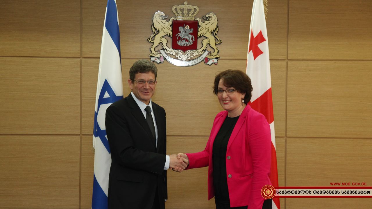 თინა ხიდაშელმა ისრაელის ელჩი მიიღო