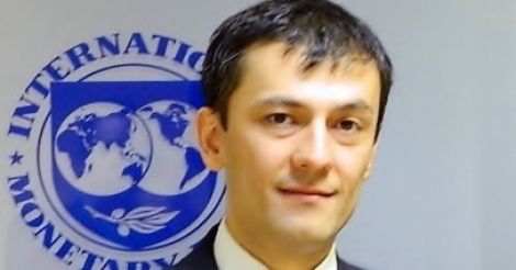 საერთაშორისო სავალუტო ფონდი ბიძინა ივანიშვილის განცხადებას გამოეხმაურა