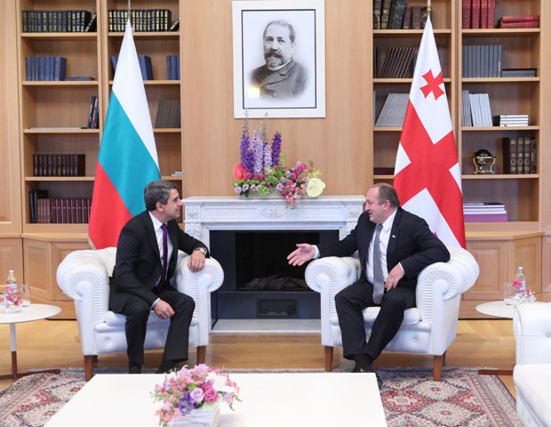 საქართველოს პრეზიდენტი ბულგარელ კოლეგას პირისპირ შეხვდა