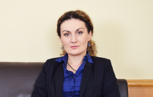 ქეთევან ციხელაშვილმა დეპუტატებს  უწყების სტრატეგია გააცნო