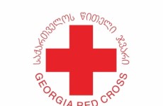 წითელმა ჯვარმა 13 ივნისს დაზარალებულთათვის თანხების მოძიების საერთაშორისო კამპანია დაიწყო