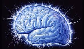 თავის ტვინში აღმოჩენილია სიბერის ფაქტორი