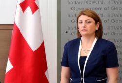 ეკატერინე ქარდავა:   საქართველოში პოლიტიკისგან თავისუფალი საჯარო სამსახური ჩამოყალიბებდება