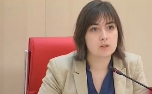 თაქთაქიშვილი: ახალი რეგულაციები "ოდეერების" სამსახურის ფუნქციონირებას აფართოებს