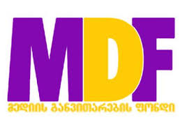 MDF მთავრობას  საზოგადოების შეცდომაში შეყვანაში ადანაშაულებს