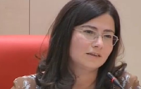 ნადირაშვილი: რომ აცხადებ, ბილეთები სოციალურად დაუცველებისთვის გვინდოდაო, კიდევ უფრო დიდი სირცხვილია