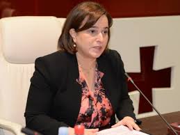 კობახიძე: ხურვალეთისა და წითელუბნის ტერიტორიაზე არსებულ ვითარებასთან დაკავშირებით დოკუმენტი მომავალ კვირას იქნება მზად