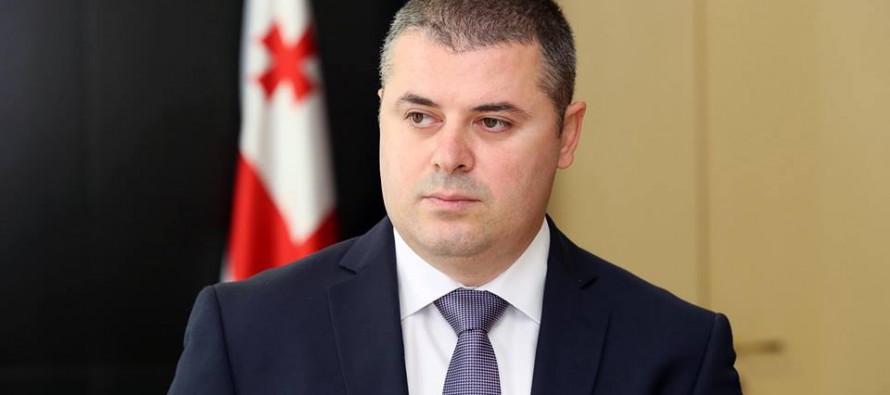 დანელია: მოსკოვში ვიზიტს პოლიტიკური დატვირთვა არ აქვს