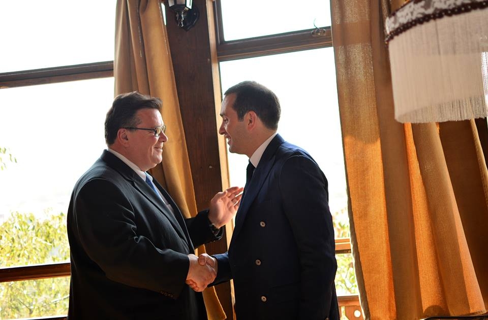 ,,თავისუფალმა დემოკრატებმა” ლინას ლინკევიჩუსთან საქართველოში და საერთაშორისო პოლიტიკაში მიმდინარე პროცესები განიხილეს
