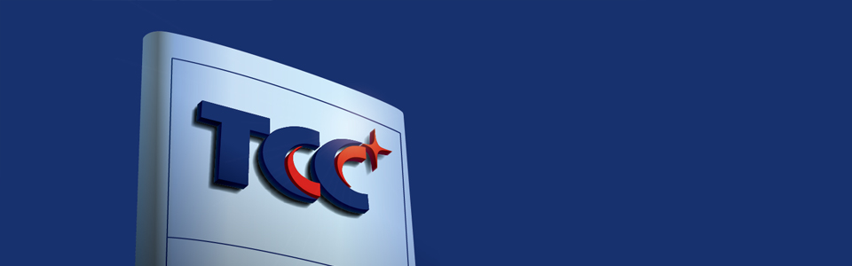 ჩინურმა კომპანიამ TCC  შესაძლოა საქართველოში თბოელექტროსადგურის მშენებლობაში მიიღოს მონაწილეობა 