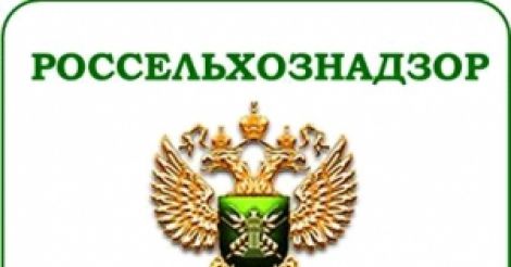 რუსეთში საქართველოდან ჩატანილი 20 ტონა ამერიკული სალა დაწვეს