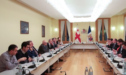 საქართველოს პრეზიდენტი ექსპერტებს შეხვდა
