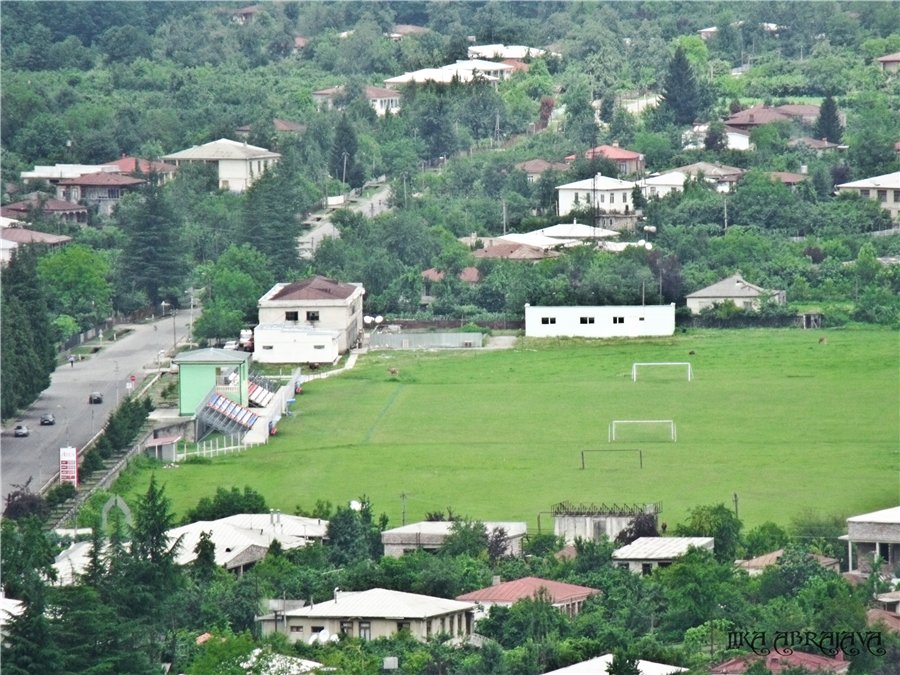 წალენჯიხაში რეიდები ტარდება