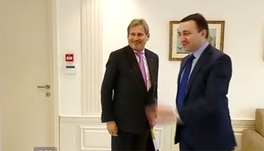 ირაკლი ღარიბაშვილის და იოჰანეს ჰანის ერთობლივი განცხადებები