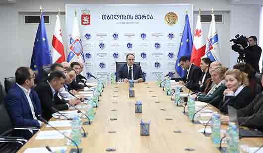 განახლებული „მდგრადი ენერგეტიკის სამოქმედო გეგმის“ პრეზენტაცია