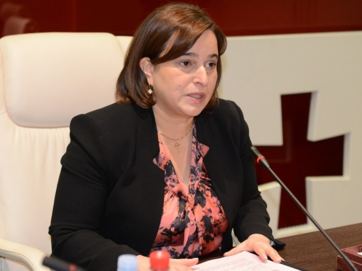 მანანა კობახიძე:  შოთაძეს ვთხოვე, რომ მივსულიყავი როგორც მოწმე და მიმეწოდებინა ინფორმაცია