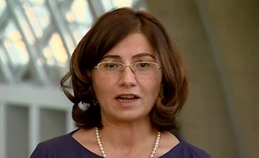 ირმა ნადირაშვილი: გოგაშვილის უწყება ელისაშვილის წინააღმდეგ ოპერაციას გეგმავს
