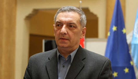 გია ვოლკსი ადასტურებს რომ ღარიბაშვილის თანამდებობიდან შესაძლო წასვლაზე მსჯელობა მიმდინარეობს