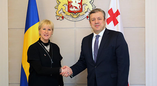 პრემიერ–მინისტრი შვედეთის საგარეო საქმეთა მინისტრს შეხვდა 