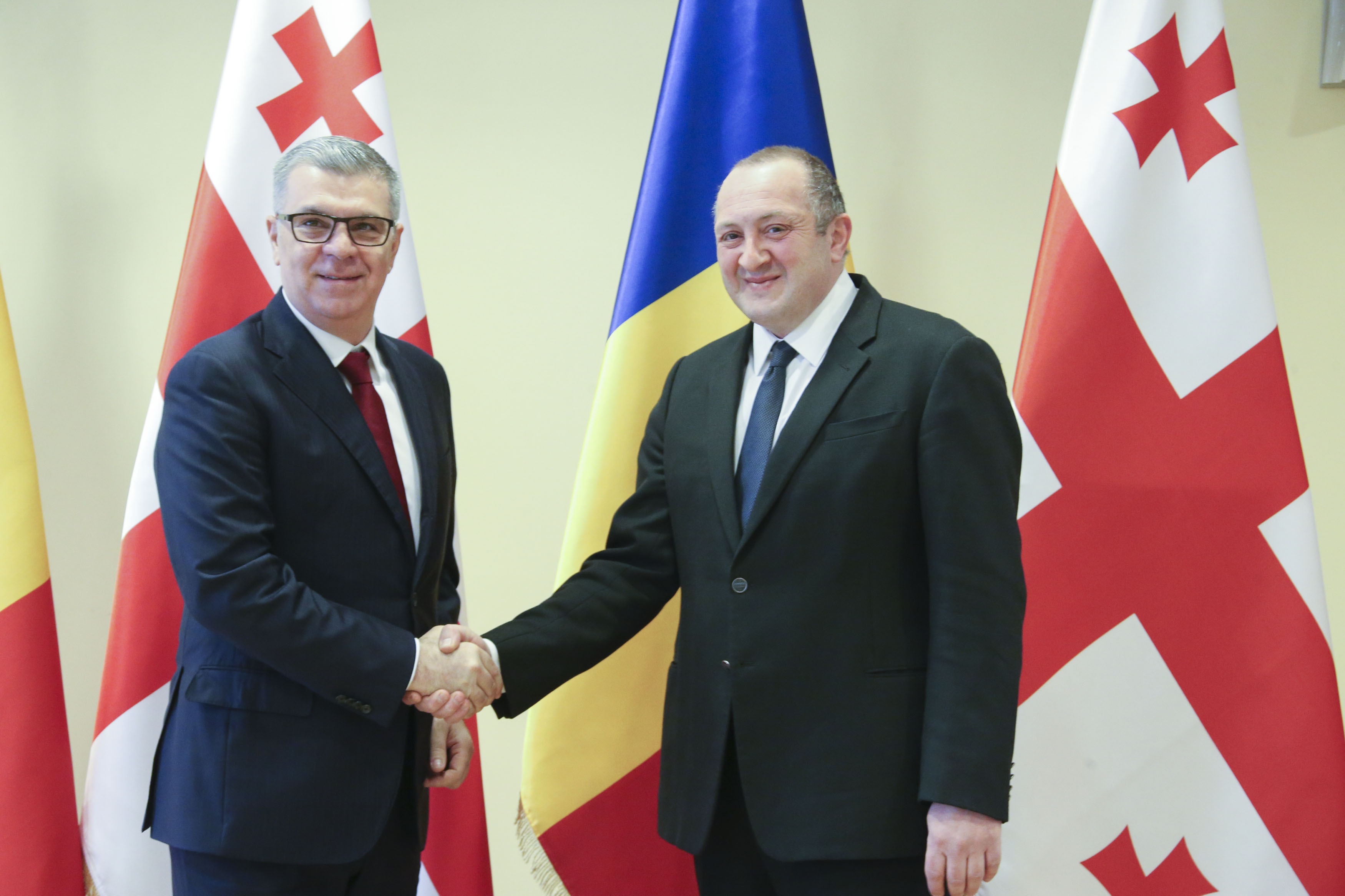 გიორგი მარგველაშვილი ვალერიუ შტეფან ზგონეას შეხვდა