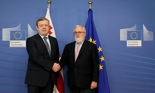 გიორგი კვირიკაშვილი ევროკომისარს მიგელ არიას კანიეტეს შეხვდა 