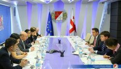 ნოდარ ხადური საერთაშორისო სარეიტინგო კომპანიის ანალიტიკოსებს შეხვდა