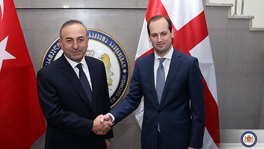 მიხეილ ჯანელიძე თურქეთის საგარეო საქმეთა მინისტრს მევლუთ ჩავუშოღლუს შეხვდა