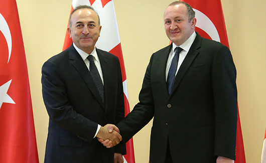 საქართველოს პრეზიდენტი თურქეთის საგარეო საქმეთა მინისტრს შეხვდა