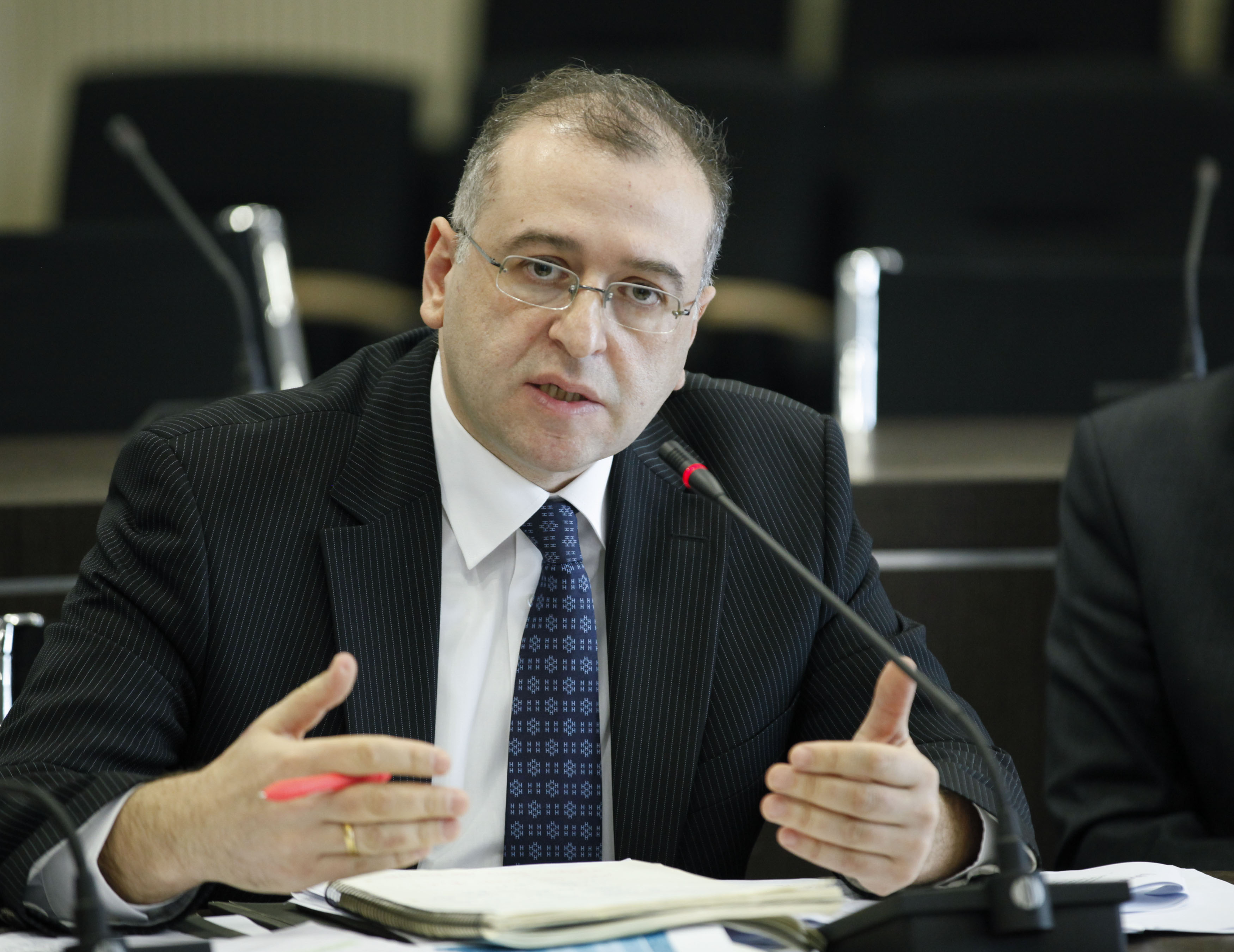 გვენეტაძე: ვფიქრობ შესაძლებელია არც მწვადი დავწვათ და არც შამფური