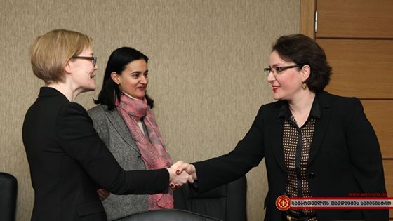 თინათინ ხიდაშელი შვედეთის სამეფოს ელჩს შეხვდა