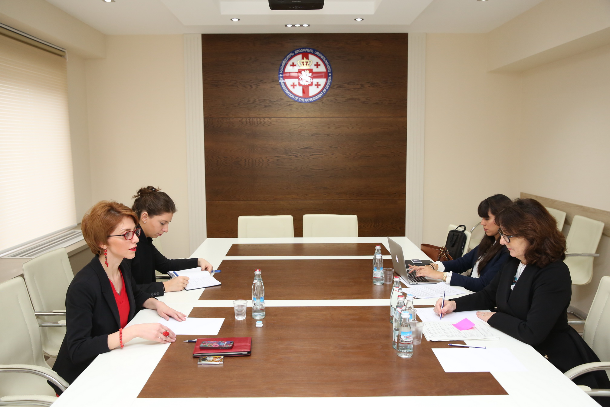 პრემიერის თანაშემწე ქალთა მიმართ ძალადობის საკითხებზე გაერო-ს სპეციალურ მომხსენებელს შეხვდა 