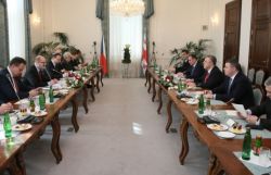 საქართველოსა და ჩეხეთის დელეგაციებს შორის მოლაპარაკება გაიმართა