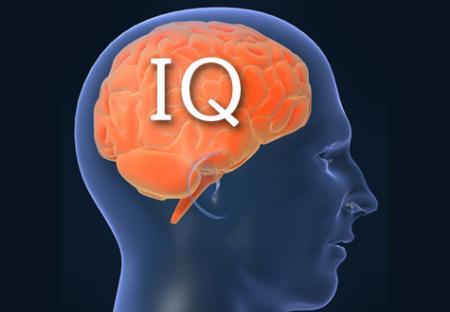 ორ კვირაზე მეტ ხანს დაისვენა, IQ-ს 20 პუნქტით ამცირებს