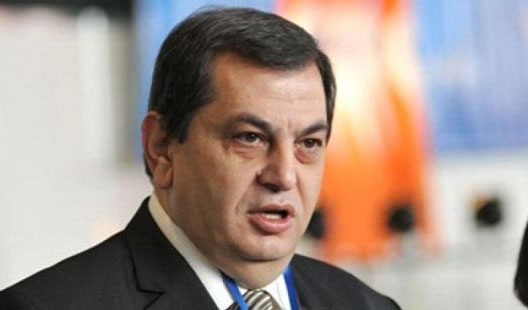 ბერძენიშვილი:  საქმის არაღძვრის გადაწყვეტილება უფრო ჭკვიანური იქნებოდა
