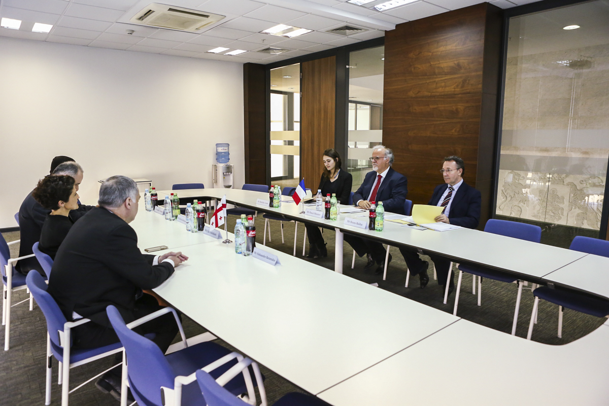 იუსტიციის მინისტრმა საფრანგეთის ელჩი მიიღო