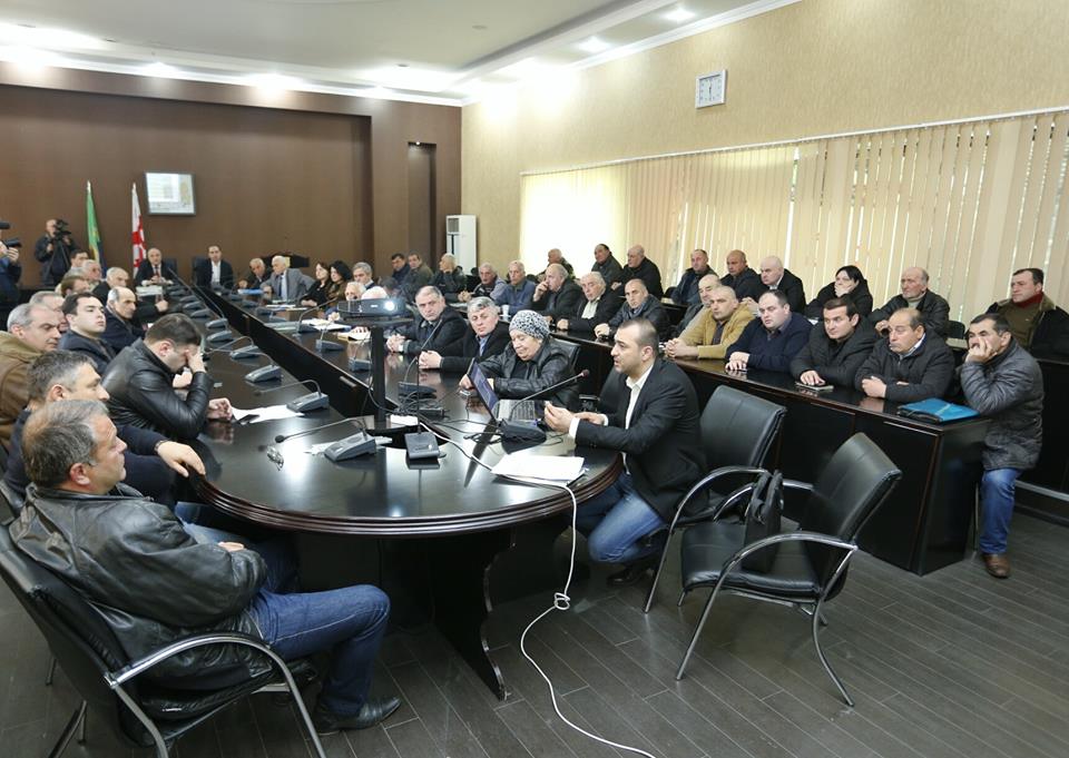 ქართული ჩაის რეაბილიტაციის პროგრამას იმერეთში გაეცნენ