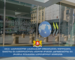 OECD-ს მიერ საქართველოს იურისდიქციის შეფასების მეორე ფაზის ანგარიში დამტკიცდა 