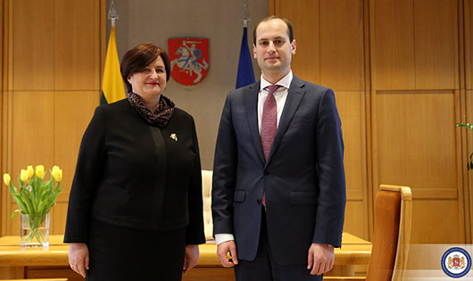 მიხეილ ჯანელიძე ლიტვის სეიმის სპიკერს შეხვდა 