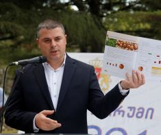 მთავრობის სხდომაზე თხილის შესახებ ტექნიკური რეგლამენტი დამტკიცდა