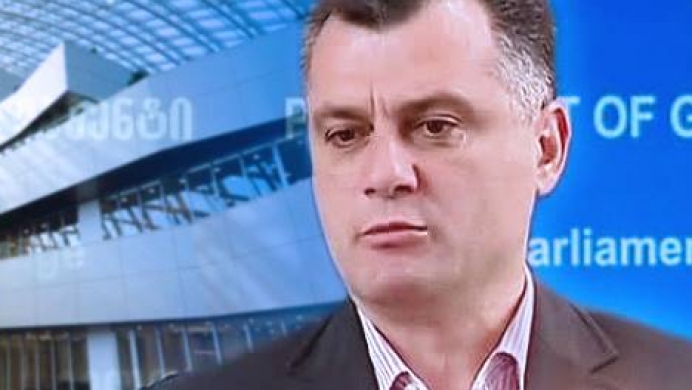 ენმ-ის წევრებმა  საქართველოსთვის ვიზალიბერალიზაციის გადადების ინიციატივას მხარი არ დაუჭირეს