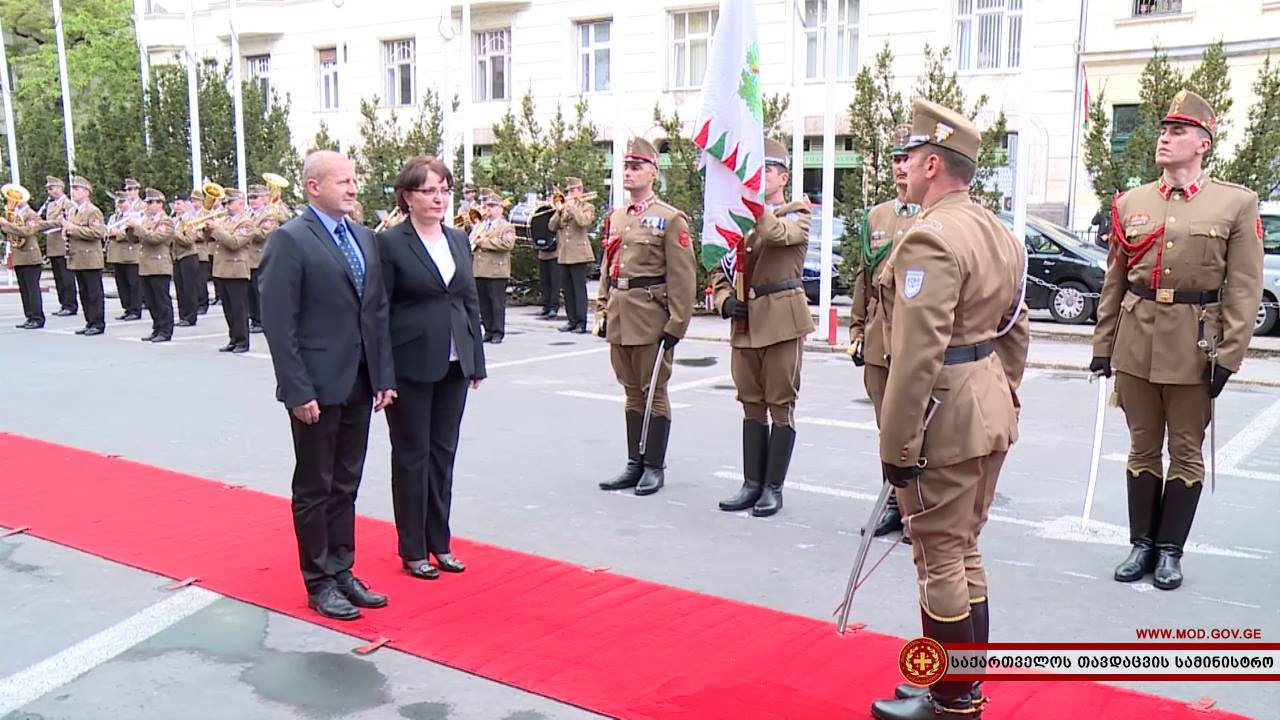 თინათინ ხიდაშელი  სამუშაო ვიზიტით უნგრეთში იმყოფება