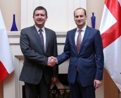 მიხეილ ჯანელიძე ჩეხეთის პარლამენტის დეპუტატთა პალატის პრეზიდენტს შეხვდა