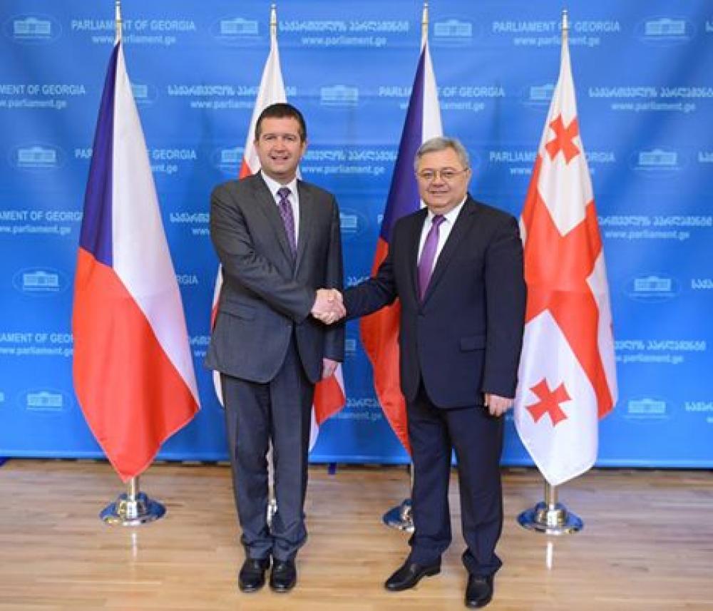 საქართველომ  ყველა ვალდებულება შეასრულა და დროა, პირობა შეასრულოს ევროპამაც -  იან ჰამაჩეკი