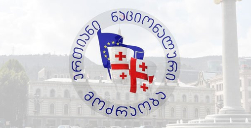 ენმ-ის წევრები დიპლომატიური კორპუსის წარმომადგენლებს შეხვდნენ